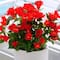 19" UV Resistant Artificial Hibiscus Bushes, 3ct.